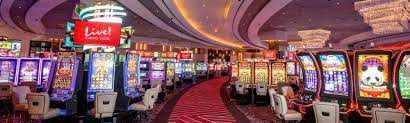 winbet888